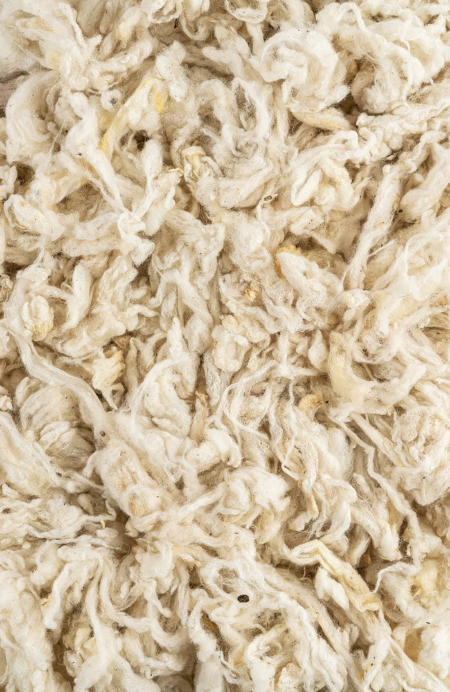 Merino wool base