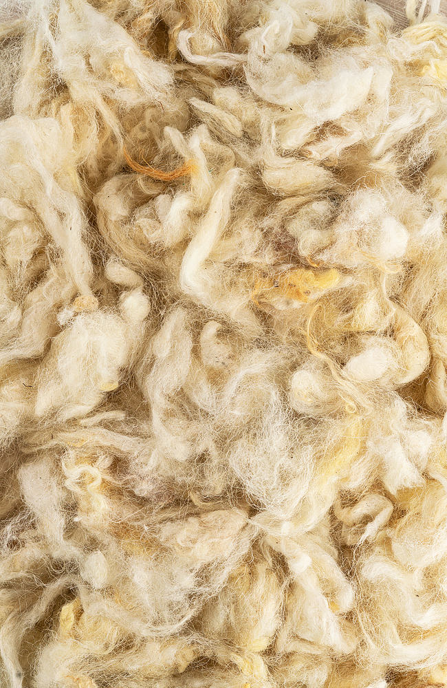 Semi-coarse light gray wool