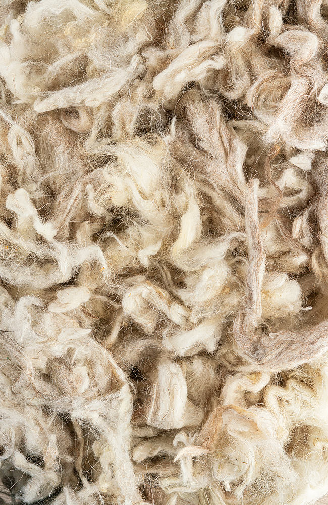 Light colored wool