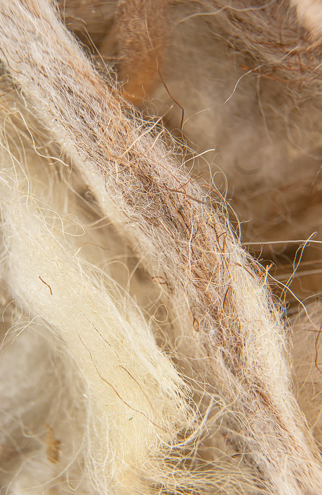 Light colored wool